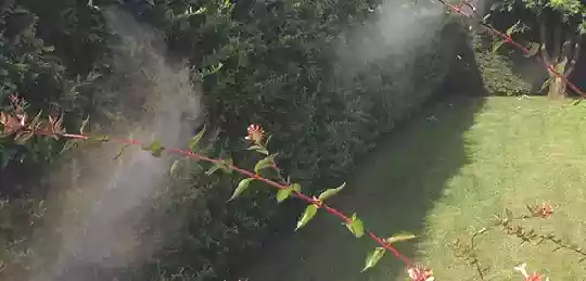 Impianto nebulizzazione da giardino antizanzara